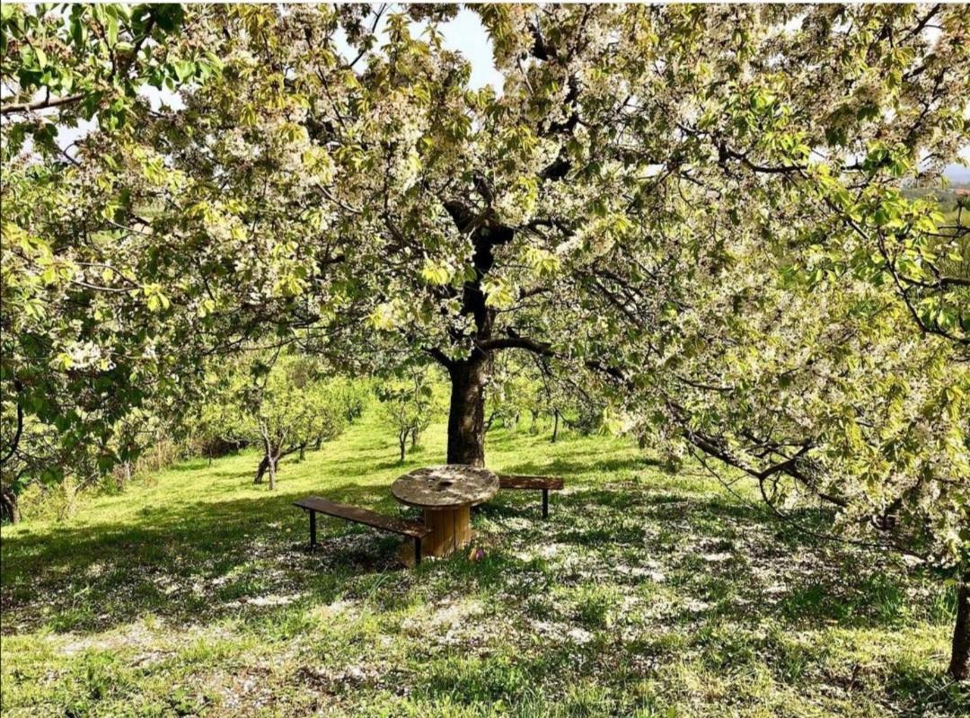 ארנדלובאץ' Vila Pogled מראה חיצוני תמונה
