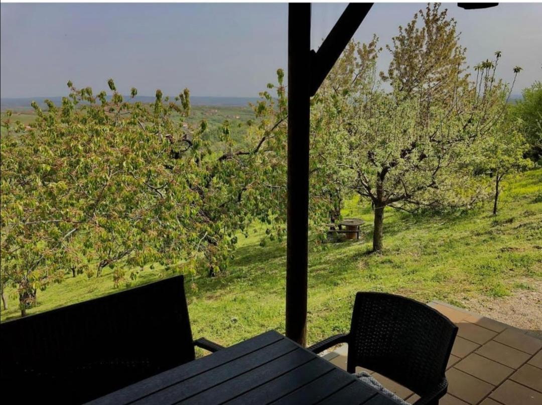 ארנדלובאץ' Vila Pogled מראה חיצוני תמונה